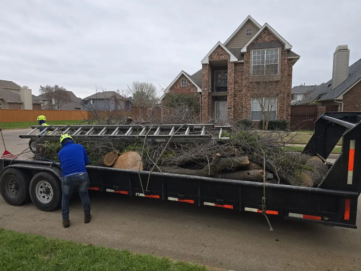 Expert Tree Fertilization with proper safety equipment in Anderson